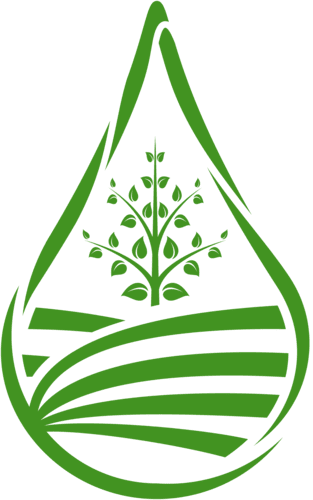 favicon caudal verde